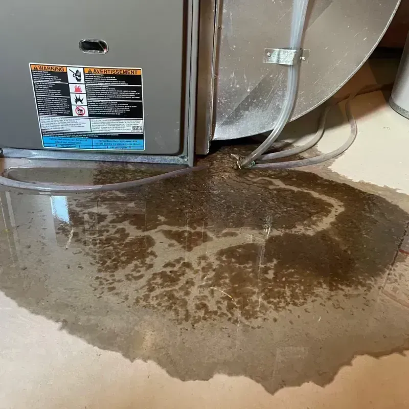 Appliance Leak Cleanup in West Pensacola, FL